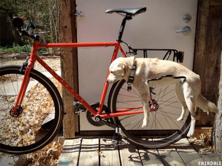 دوچرخه حمل سگ