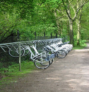 دوچرخه رایگان هلند 