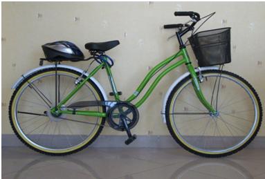 دوچرخه و خانه هاي پروژه طرح دوچرخه همگانی منطقه 8